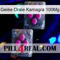 Gelée Orale Kamagra 100Mg 01